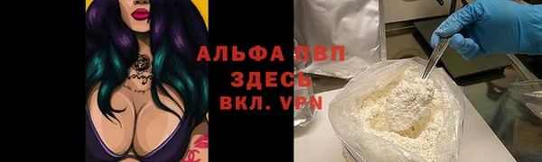 прущие крисы Беломорск